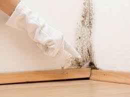 Best Asbestos and Lead Testing During Mold Inspection  in Oregon, OH